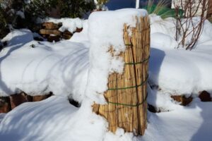 Mata słomiana do ochrony zimowej roślin przed mrozem