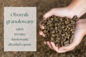 Jak i kiedy stosować obornik granulowany Krótki przewodnik