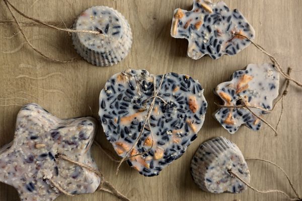 Dokarmianie ptakow zima jak prawidlowo karmic by nie zaszkodzic Szykowny Ogrod 1 1