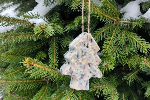 Dokarmianie ptakow zima jak prawidlowo karmic by nie zaszkodzic Szykowny Ogrod 2 1